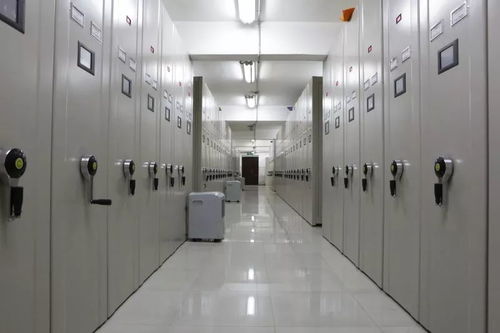市城建档案馆推出查询服务 一键探索你家房子的前世今生